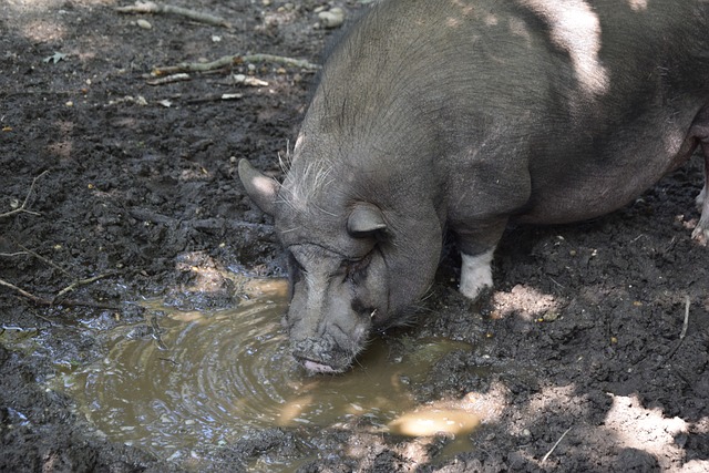 从埃德森加 从埃德森加