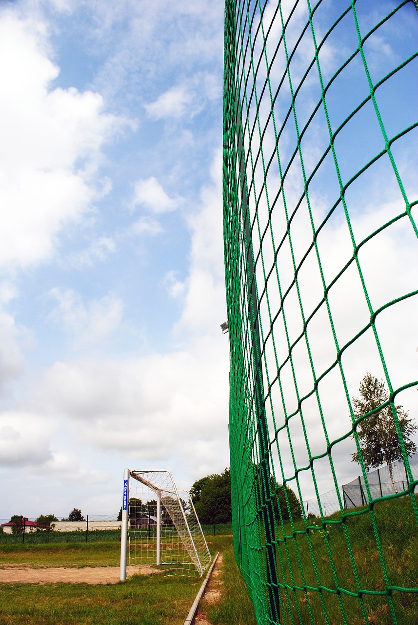 击败了萨克 击败了萨克