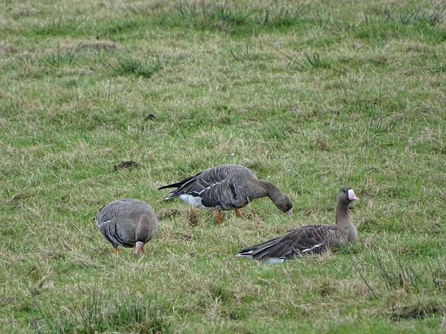 转情况并非 转情况并非