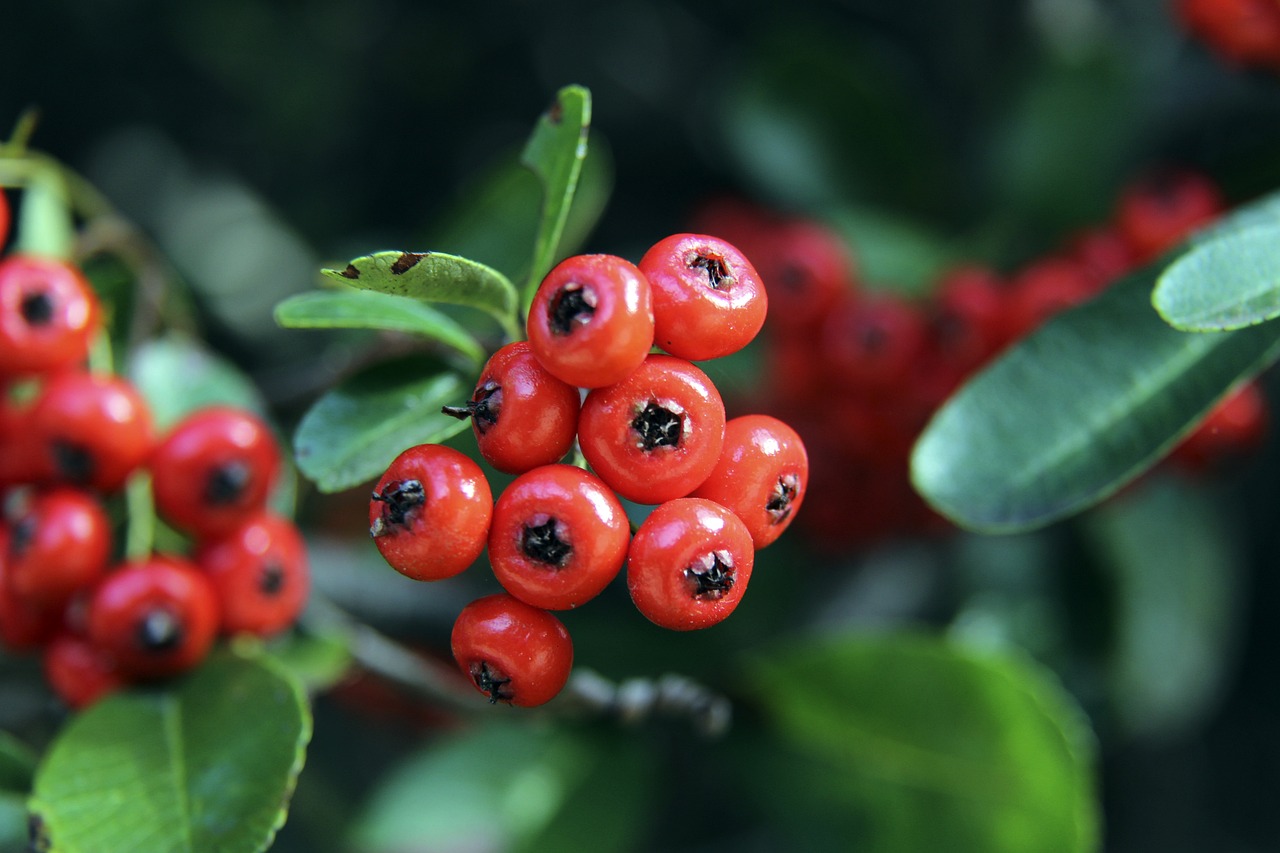 长距离跑步 长距离跑步